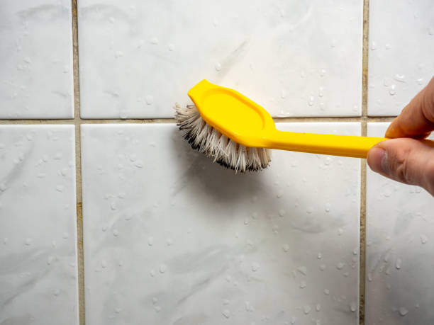 Best Mold Cleaning Services  in Lorton, VA