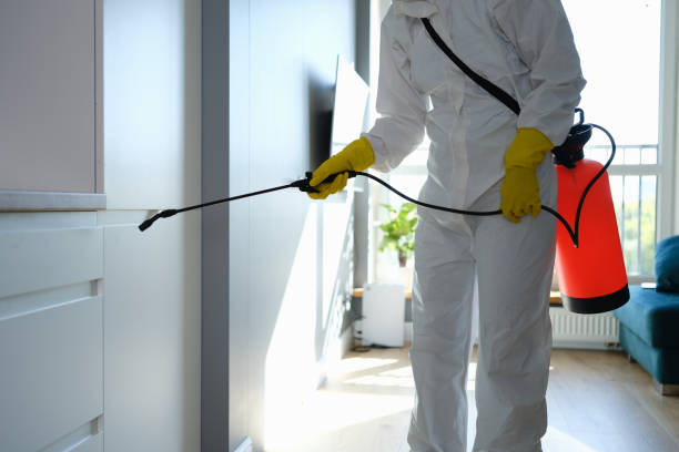 Best Mold Testing  in Lorton, VA