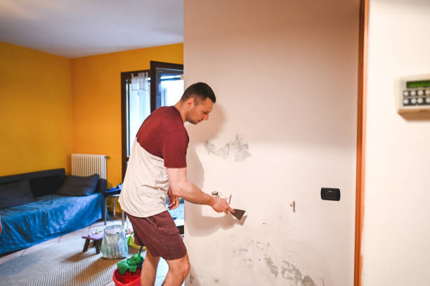 Home Mold Removal in Lorton, VA